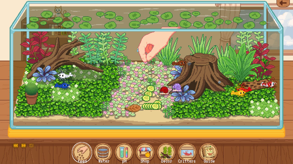 Tiny Glass Tank: Dwarf Shrimp and Friends